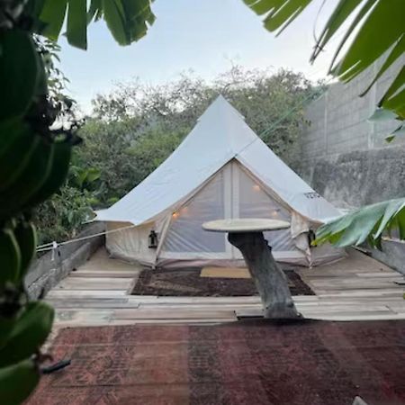 Hotel Yurt In Avocado Garden Güímar Exterior foto