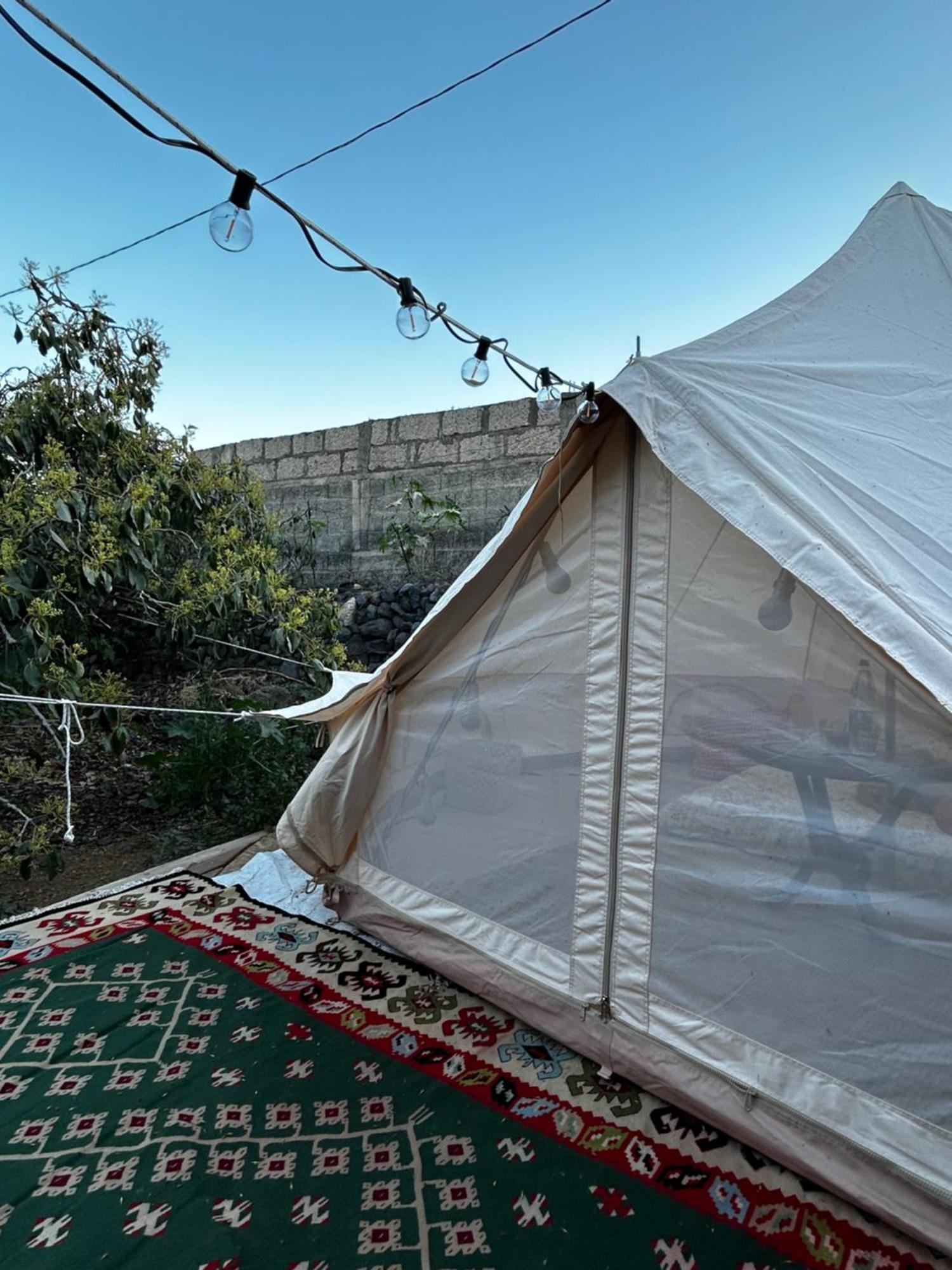 Hotel Yurt In Avocado Garden Güímar Exterior foto