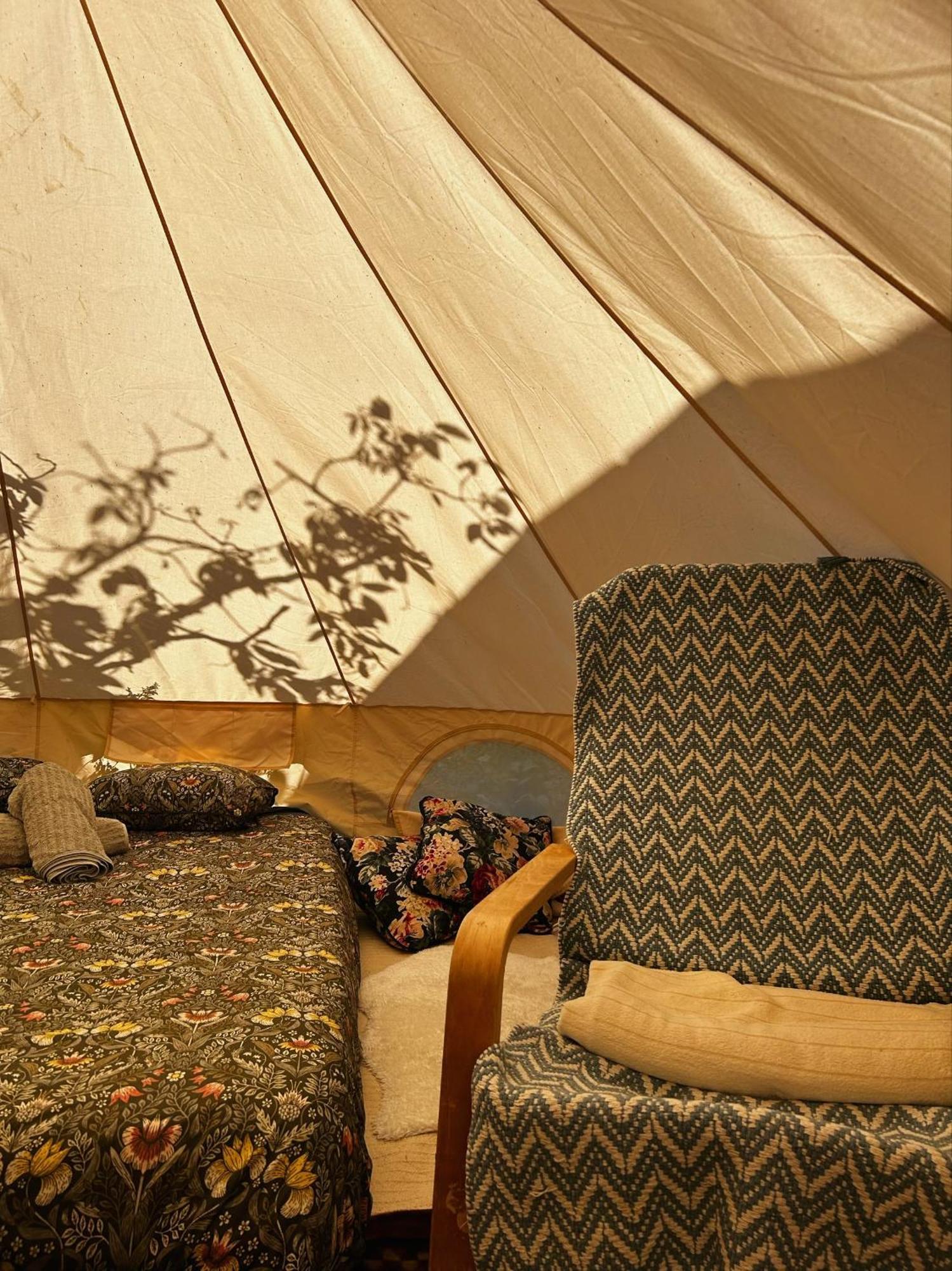 Hotel Yurt In Avocado Garden Güímar Exterior foto