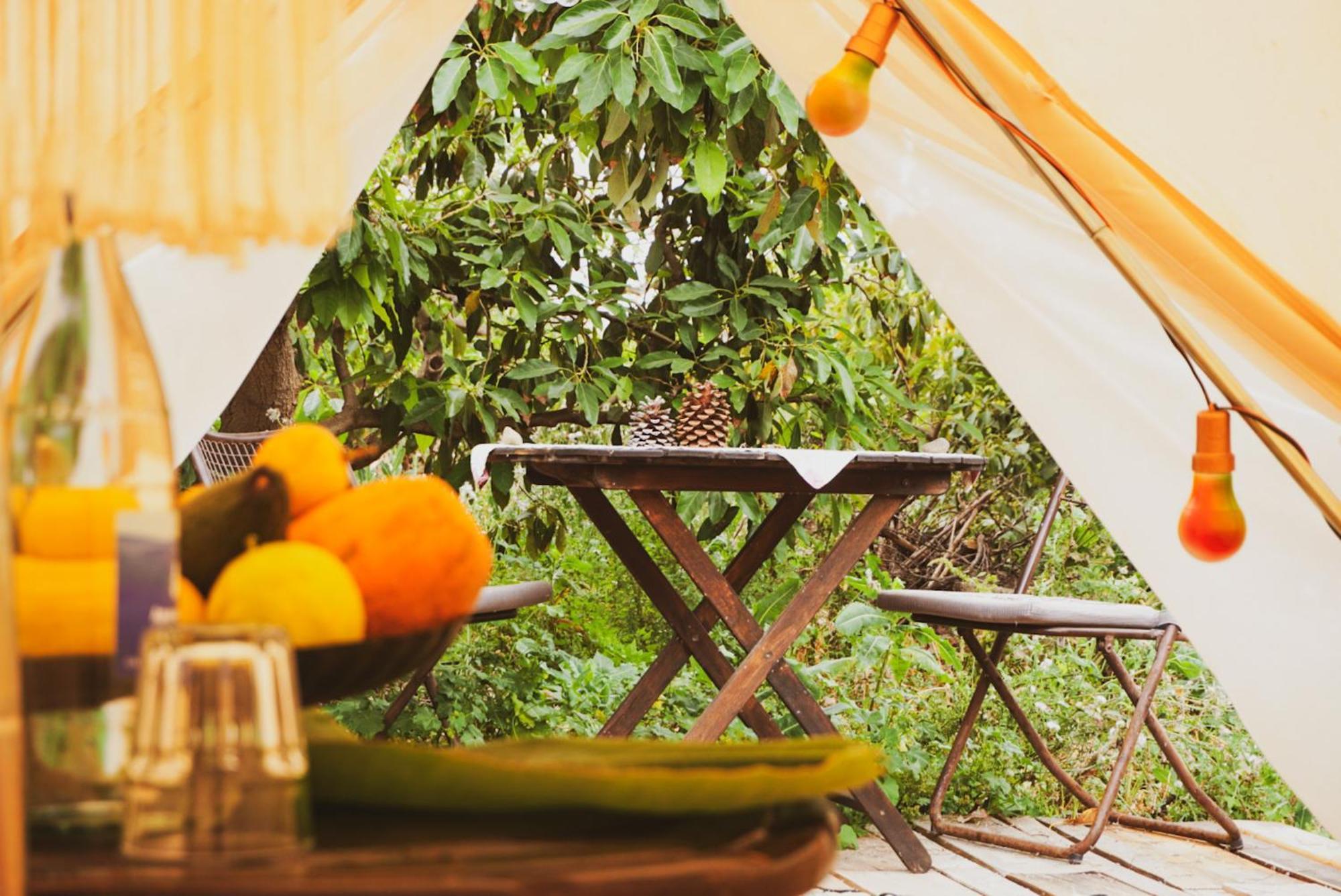 Hotel Yurt In Avocado Garden Güímar Exterior foto
