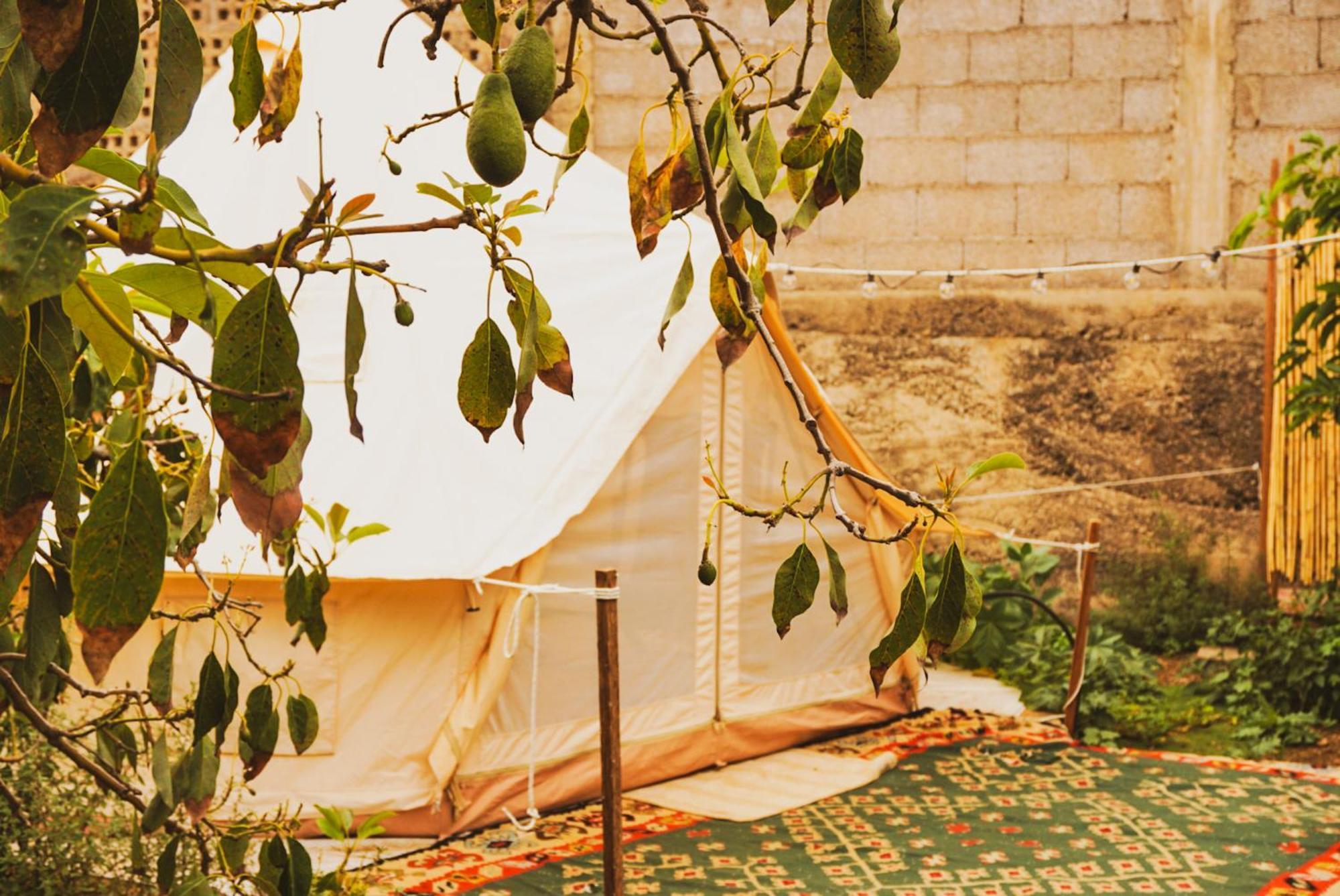 Hotel Yurt In Avocado Garden Güímar Exterior foto